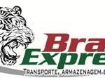 Brasil Express Logo